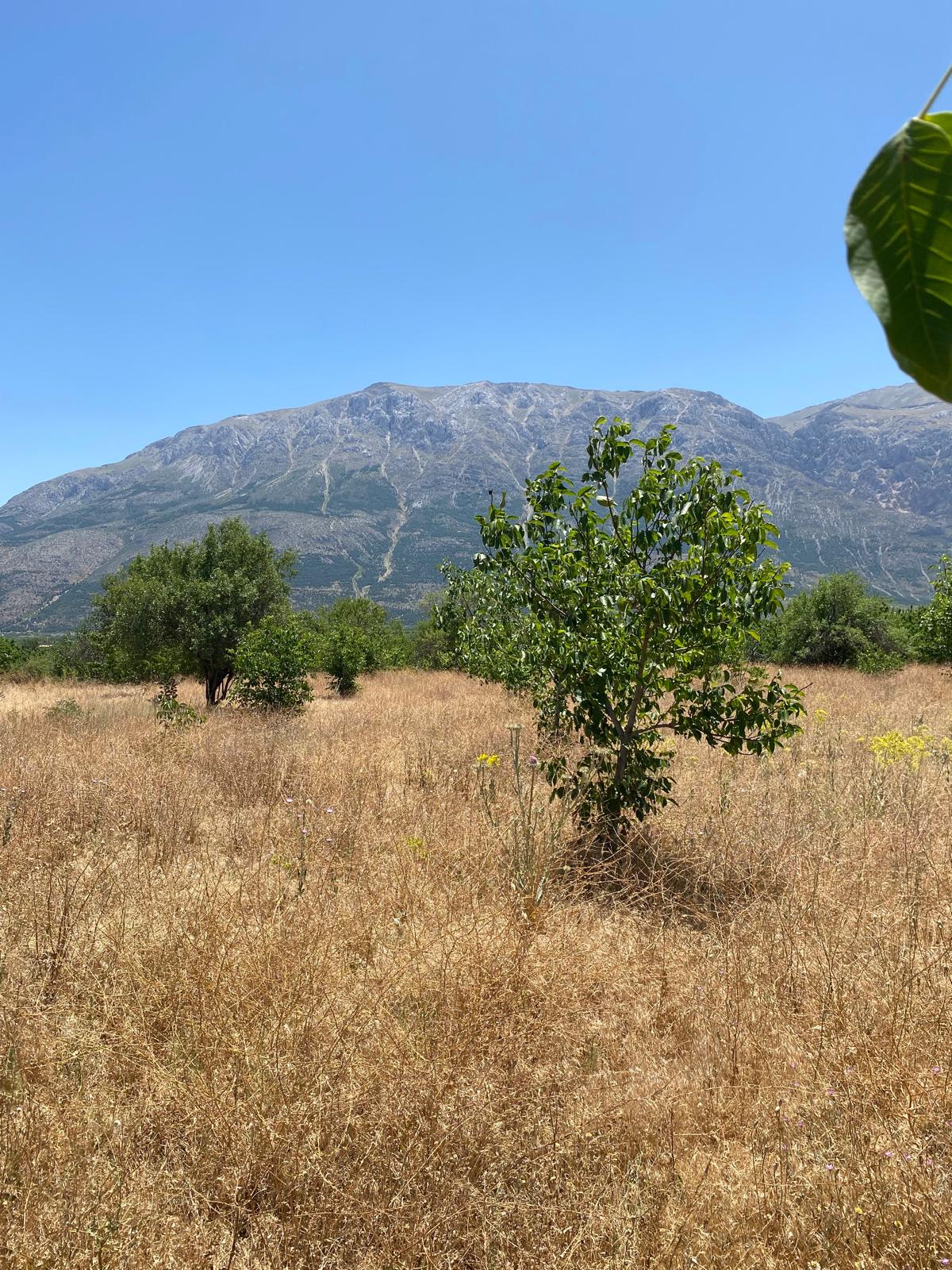 Isparta/Uluborlu Küçük Kabaca köyü Satılık Tarla
