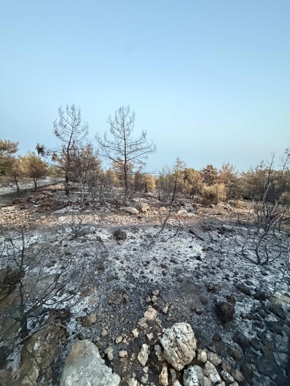 INVESTMENT OPPORTUNITY IN ANTALYA AKSU TOPALLI NEIGHBORHOOD