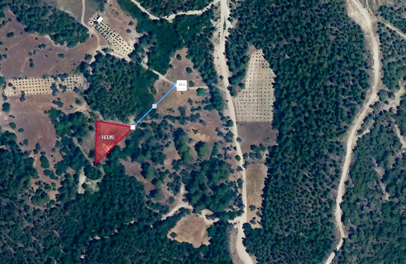 SERİK KOZANDA 1,963 M² | 100 6-YEAR-OLD OLIVE TREES