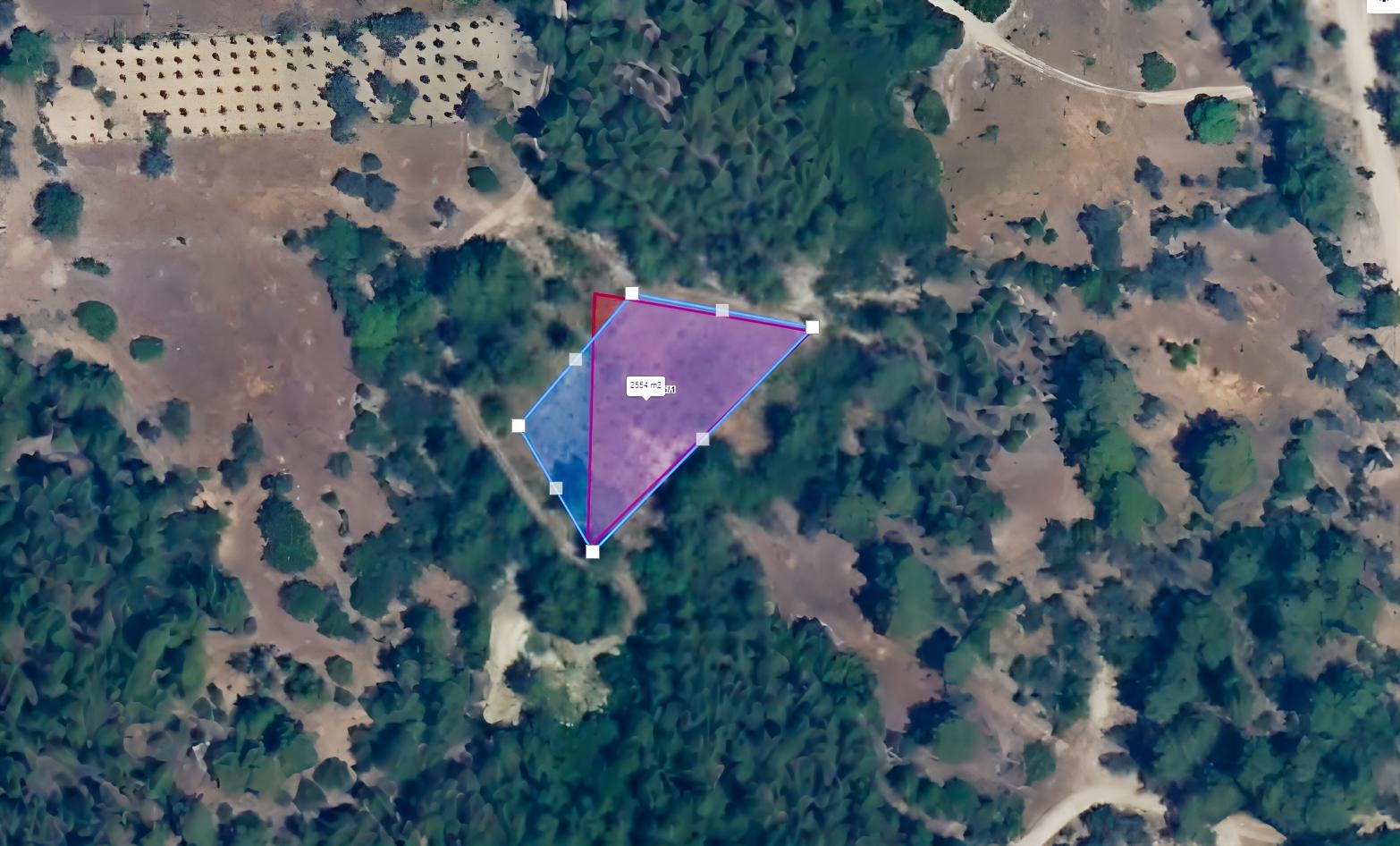SERİK KOZANDA 1,963 M² | 100 6-YEAR-OLD OLIVE TREES